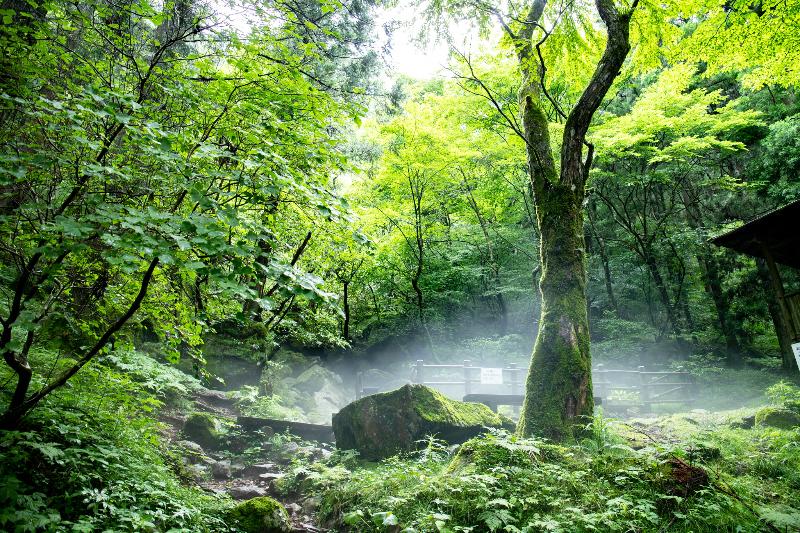 上林森林公園の風穴