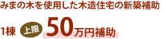 徳島県美馬市_shienseido2019