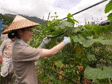 岡山県津山市