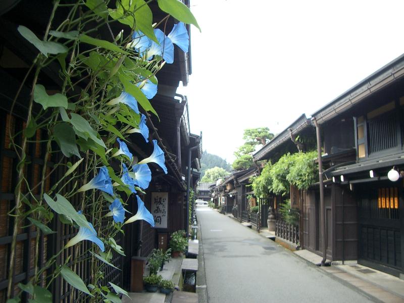 岐阜県_高山市_城下町の中心、商人町として発達した上町、下町の三筋の町並みを合わせて「古い町並」と呼んでます。
