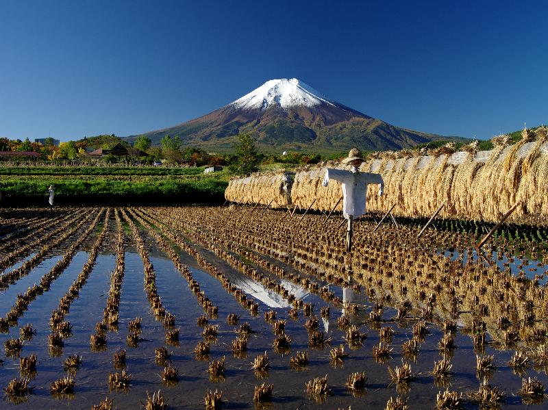 農村公園から見た富士山