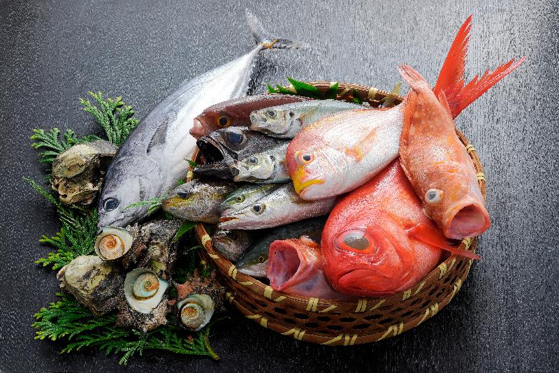 駿河湾の恵み海の幸、新鮮なお魚がリーズナブルです！