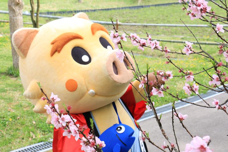 地域フォト／ニッポン移住・交流ナビ JOIN