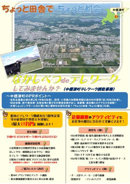 テレワーク誘致推進パンフ