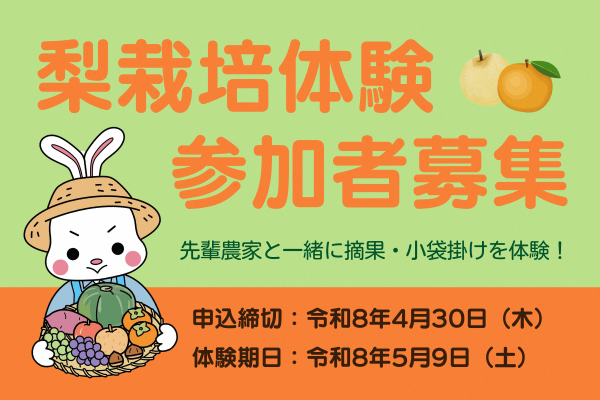梨栽培体験会参加者募集／先輩農家と一緒に摘果・小袋掛けを体験！