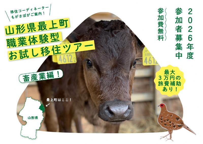 最上町職業体験型お試し移住ツアー～畜産体験編～