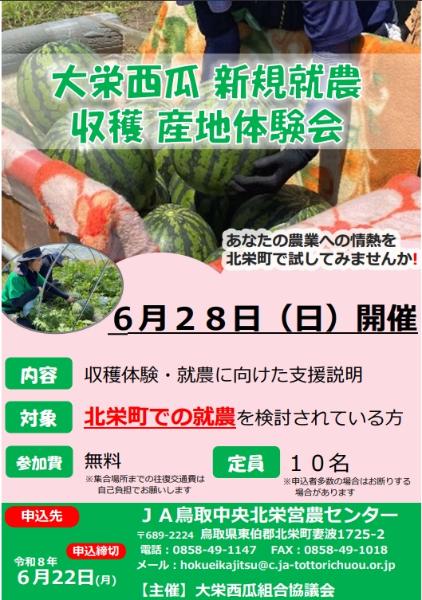 チラシ表