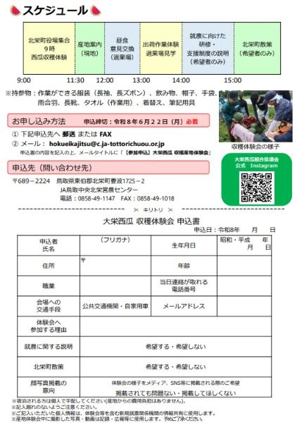 チラシ裏