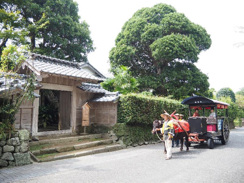【ツルと歴史ととりのまち】鹿児島県出水市地域おこし協力隊募集！／ニッポン移住・交流ナビ JOIN