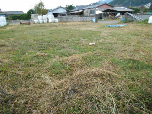 House in Ebino, Miyazaki: photo 3