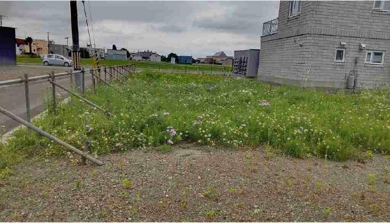 美唄 土地 雑種地