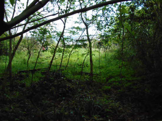 House in Ebino, Miyazaki