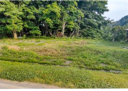 美唄 土地 雑種地