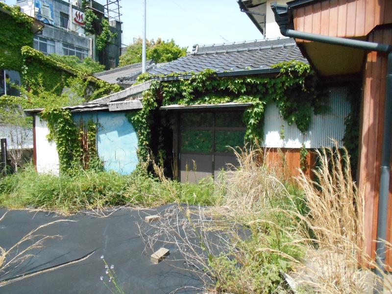 House in Ebino, Miyazaki: photo 2