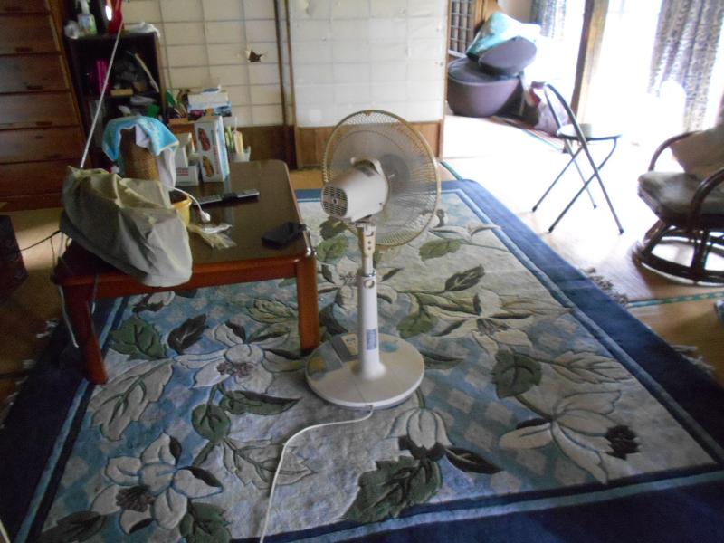 House in Ebino, Miyazaki: photo 2