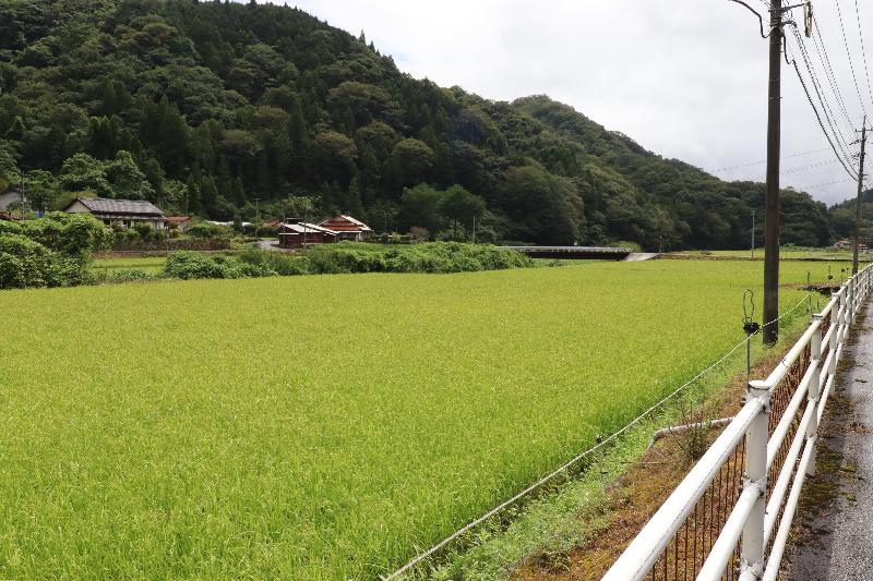 House in Kawamoto, Shimane: photo 3