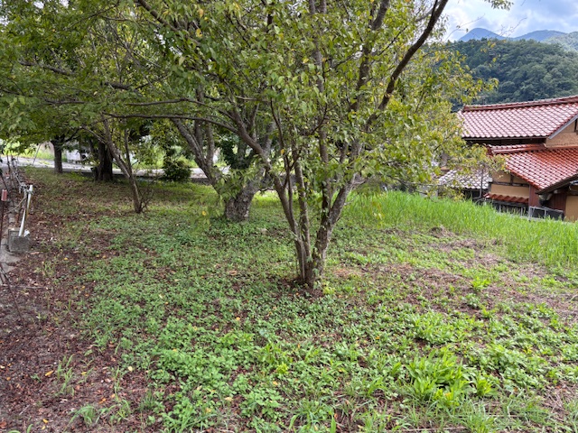 House in Kawamoto, Shimane: photo 3