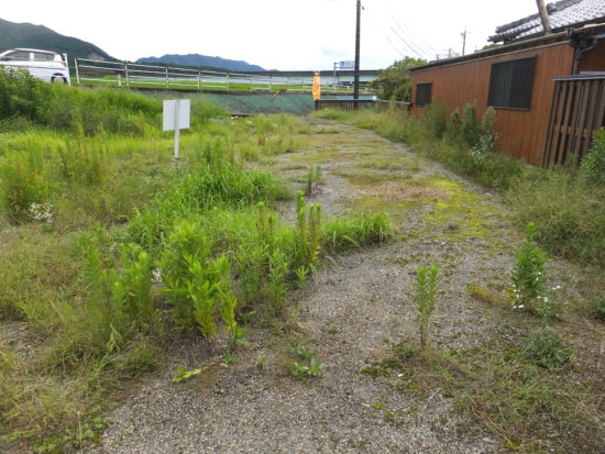 House in Ebino, Miyazaki: photo 3
