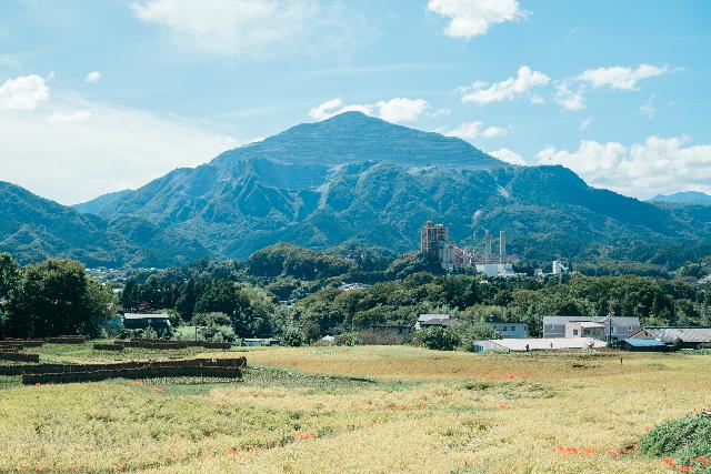 武甲山と寺坂棚田