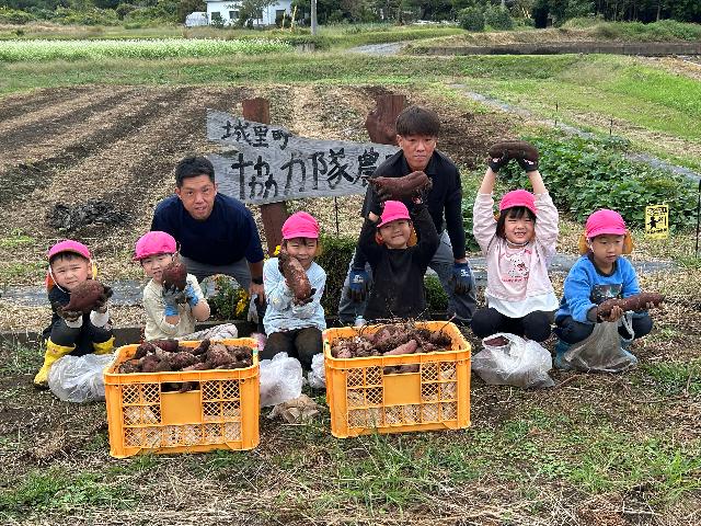 地元園児とサツマイモ収穫