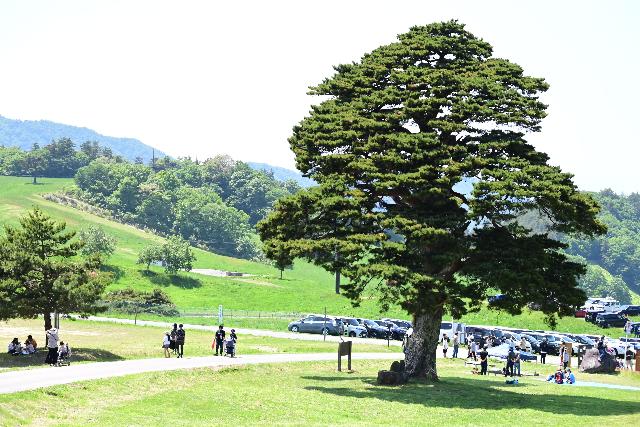 天童高原PR写真2