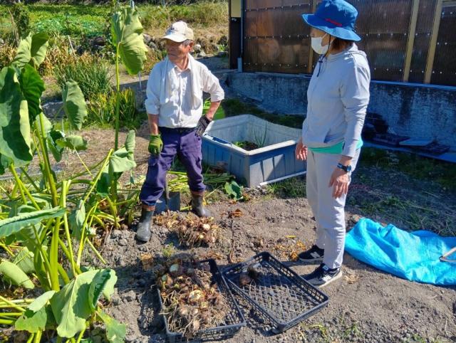農家さんの畑で話を聞く地産地消コーディネーター