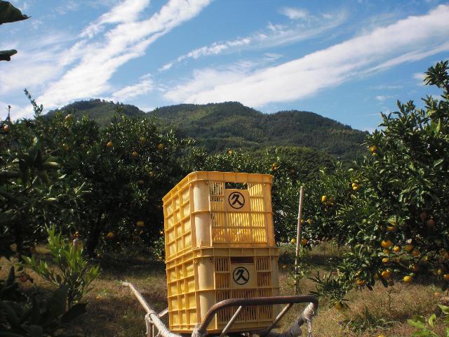 周防大島町地域おこし協力隊員（農業振興）を募集します！／ニッポン