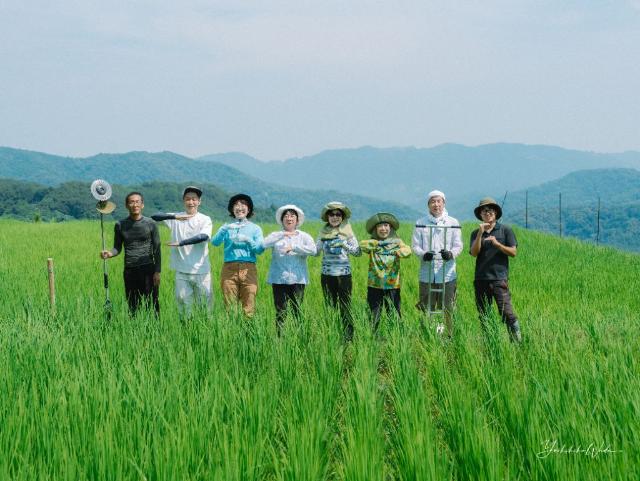 棚田ポーズ