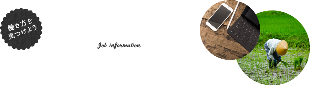 お仕事情報