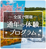 通年の体験プログラム