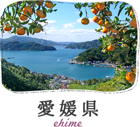 愛媛県