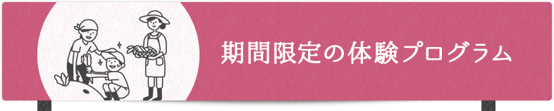 期間限定の体験プログラム